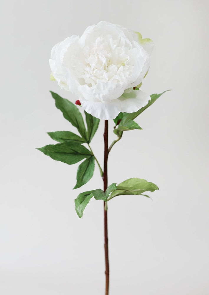 
                      
                        Afloral Cream White Faux Real Touch Peony Flower, 30" - lily & onyx
                      
                    