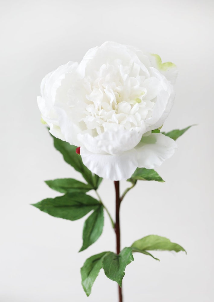 
                      
                        Afloral Cream White Faux Real Touch Peony Flower, 30" - lily & onyx
                      
                    