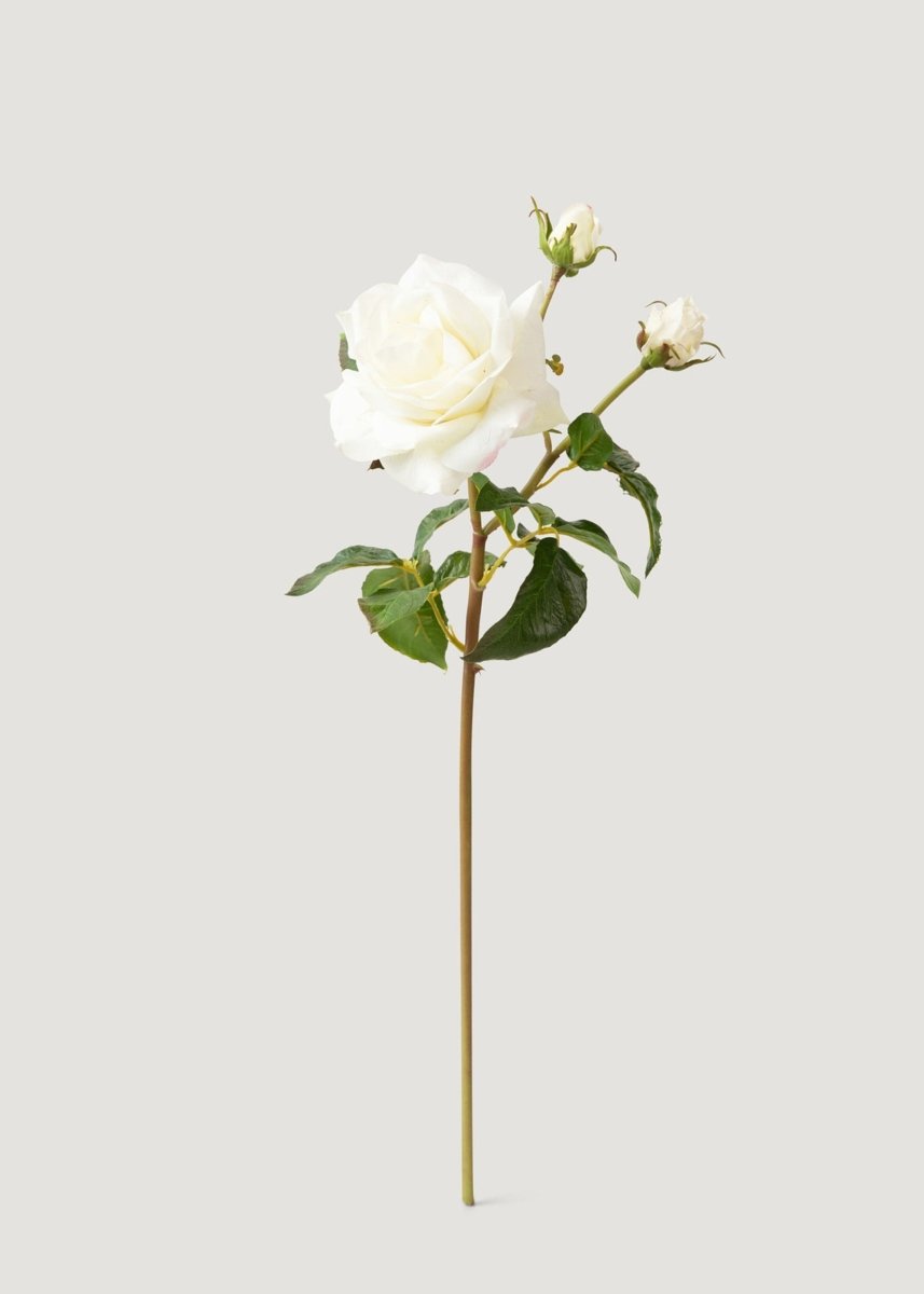 Afloral Cream White Real Touch Juliet English Rose - 22" - lily & onyx