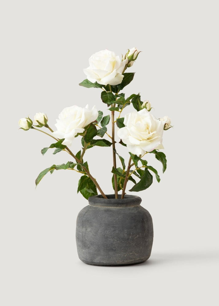 
                      
                        Afloral Cream White Real Touch Juliet English Rose - 22" - lily & onyx
                      
                    