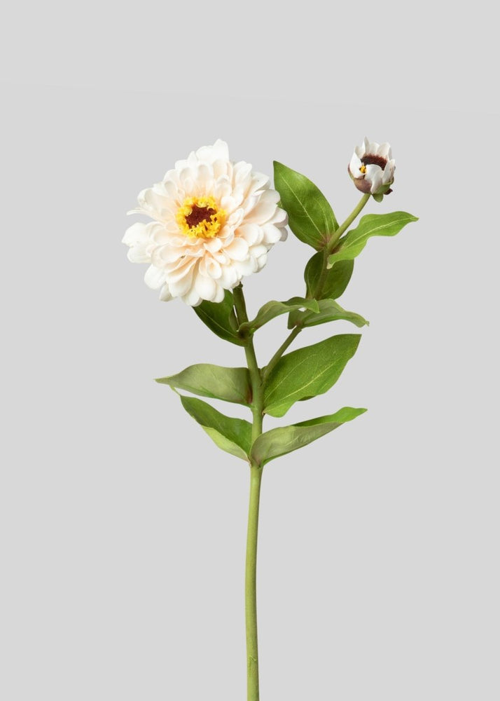 Afloral Cream Zinnia Real Touch Fake Flower - 24.5" - lily & onyx