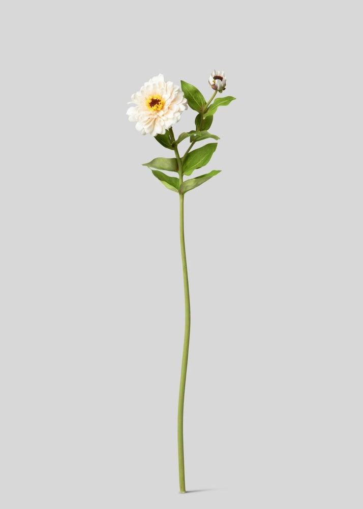 Afloral Cream Zinnia Real Touch Fake Flower - 24.5" - lily & onyx