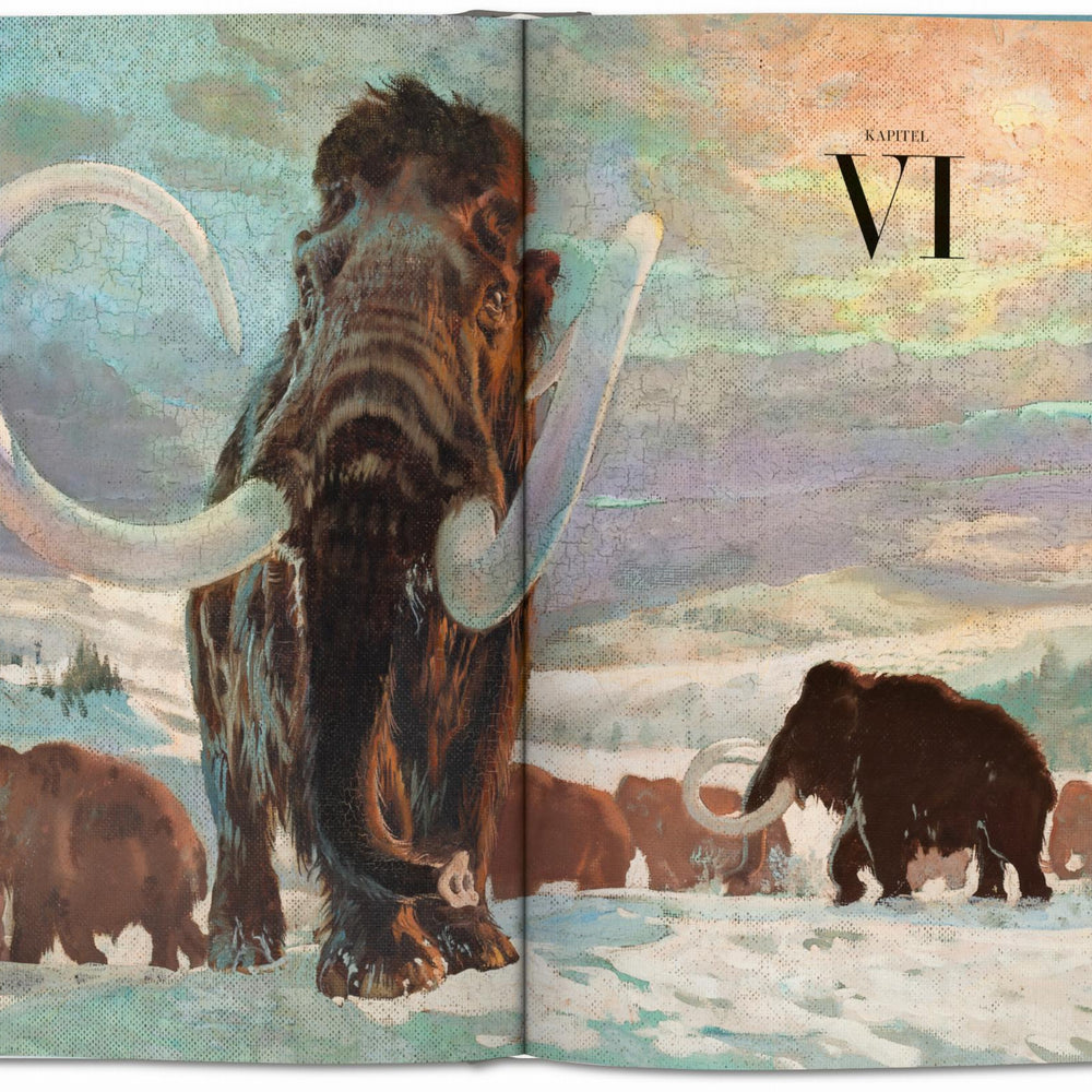 
                      
                        Paleoart. Visions of the Prehistoric Past (English)
                      
                    