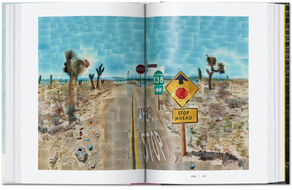 
                      
                        TASCHEN David Hockney. A Chronology. 40th Ed. (English) - lily & onyx
                      
                    