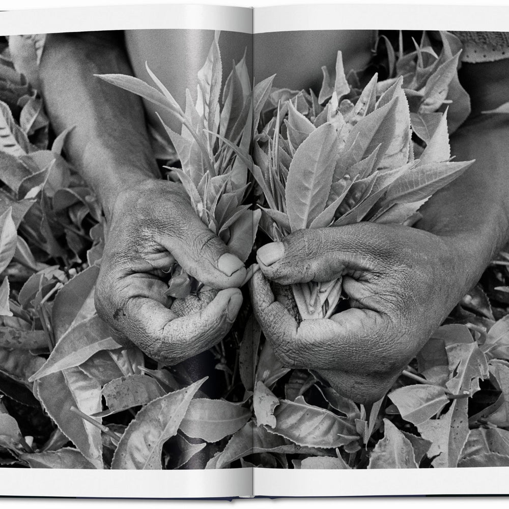 
                      
                        Sebastião Salgado. Arbeiter. Zur Archäologie des Industriezeitalters (German)
                      
                    