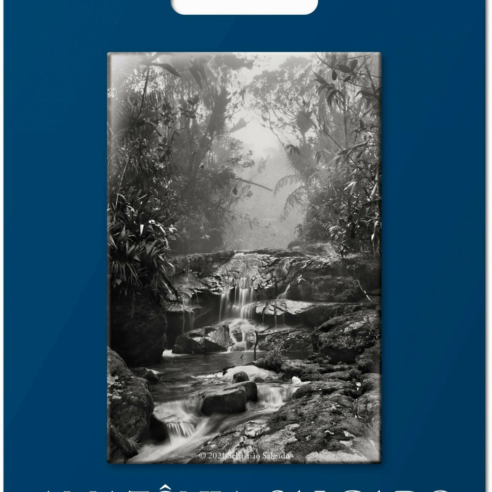Salgado. Amazônia. Magnet ‘Creek’