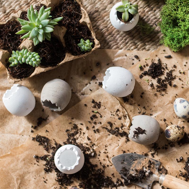 
                      
                        Decorative Eggshell Style Cement Planter
                      
                    
