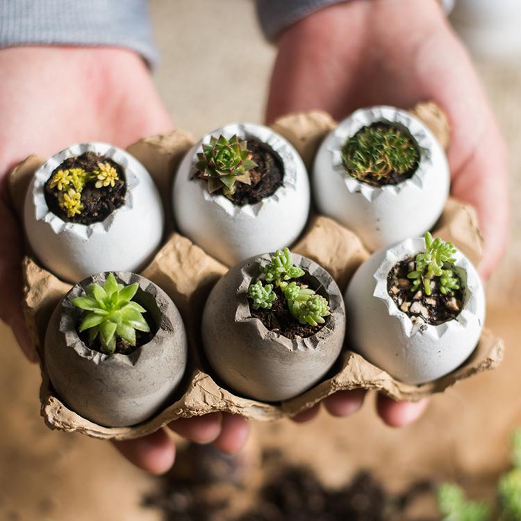 
                      
                        Decorative Eggshell Style Cement Planter
                      
                    