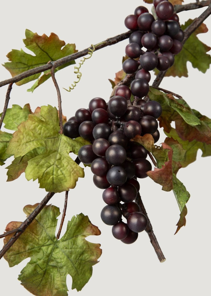 
                      
                        Afloral Deluxe Artificial Grape Branch with Leaves - 43" - lily & onyx
                      
                    