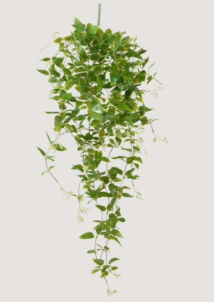 
                      
                        Afloral Deluxe Artificial Plants Hanging Tradescantia Houseplant - 41" - lily & onyx
                      
                    