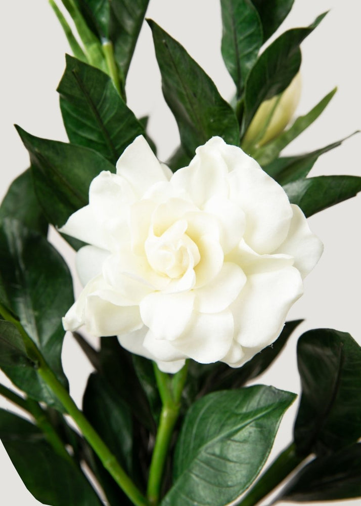 
                      
                        Afloral Deluxe Cream Artificial Gardenia Flower Branch - 19" - lily & onyx
                      
                    