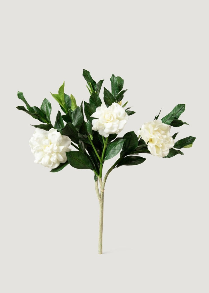 
                      
                        Afloral Deluxe Cream Artificial Gardenia Flower Branch - 19" - lily & onyx
                      
                    