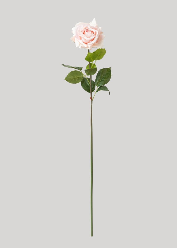
                      
                        Afloral Deluxe Real Touch Rose in Soft Pink - 29" - lily & onyx
                      
                    