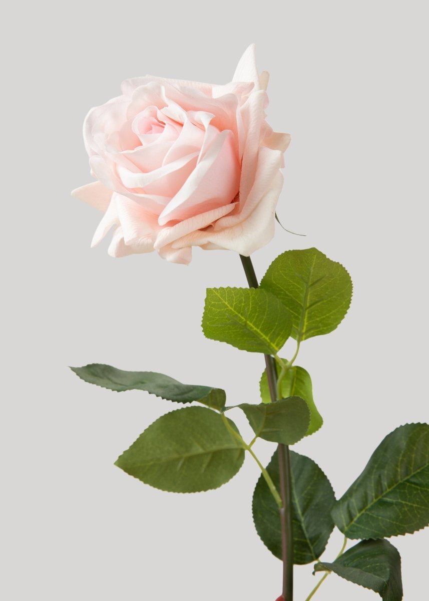 Afloral Deluxe Real Touch Rose in Soft Pink - 29" - lily & onyx