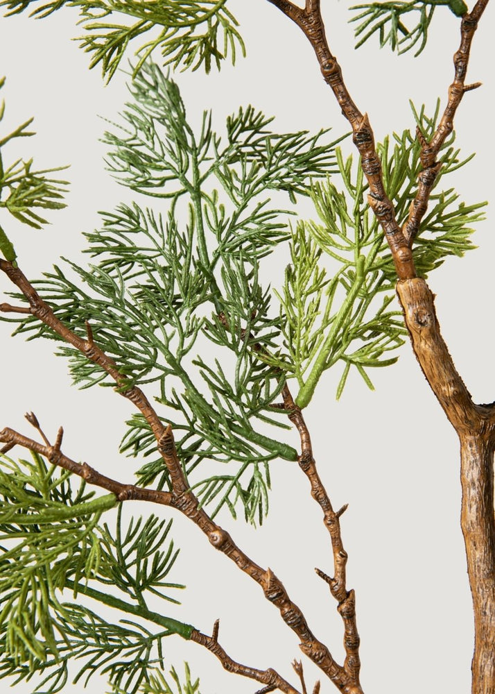 
                      
                        Afloral Deluxe Tall Artificial Cedar Branch - 43" - lily & onyx
                      
                    