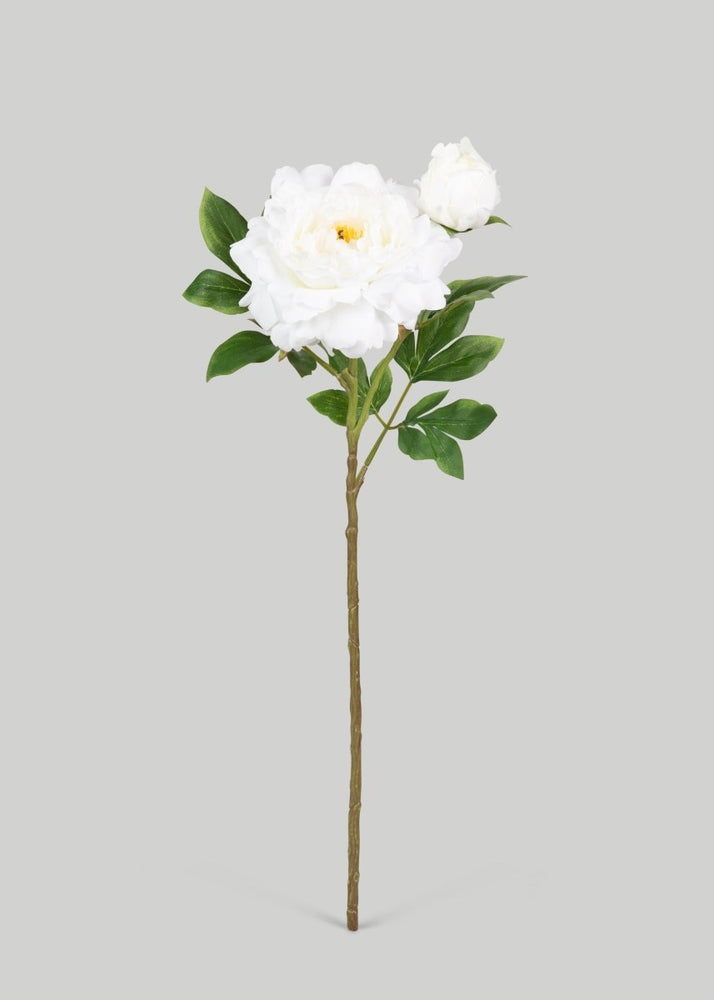 
                      
                        Afloral Deluxe White Queen Garden Peony Fake Flower - 30" - lily & onyx
                      
                    