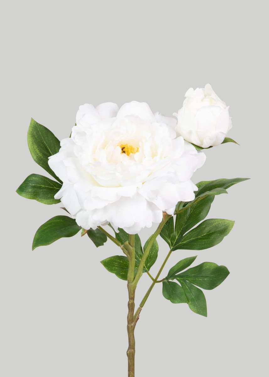 Afloral Deluxe White Queen Garden Peony Fake Flower - 30" - lily & onyx