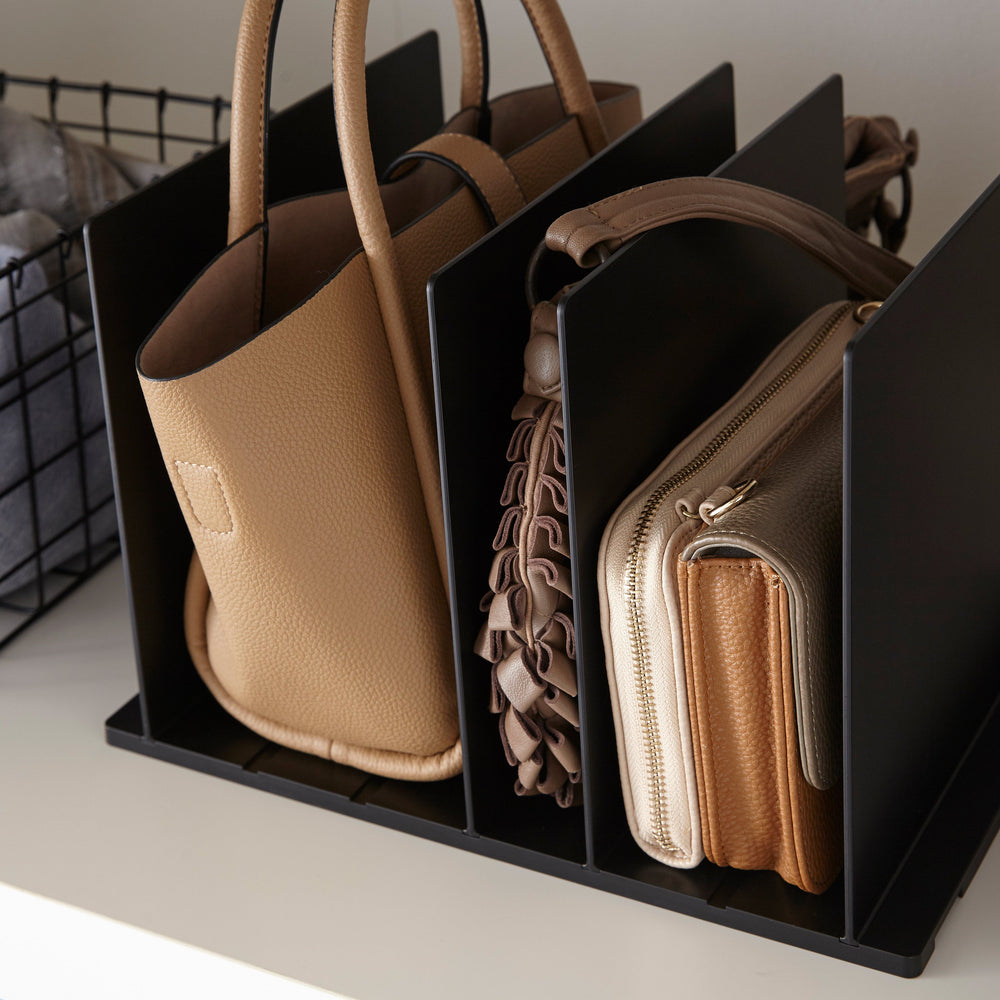 
                      
                        Handbag Organizer, Set of 2
                      
                    