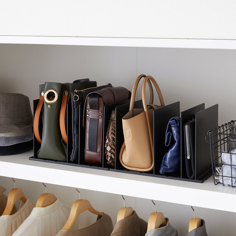 
                      
                        Handbag Organizer, Set of 2
                      
                    