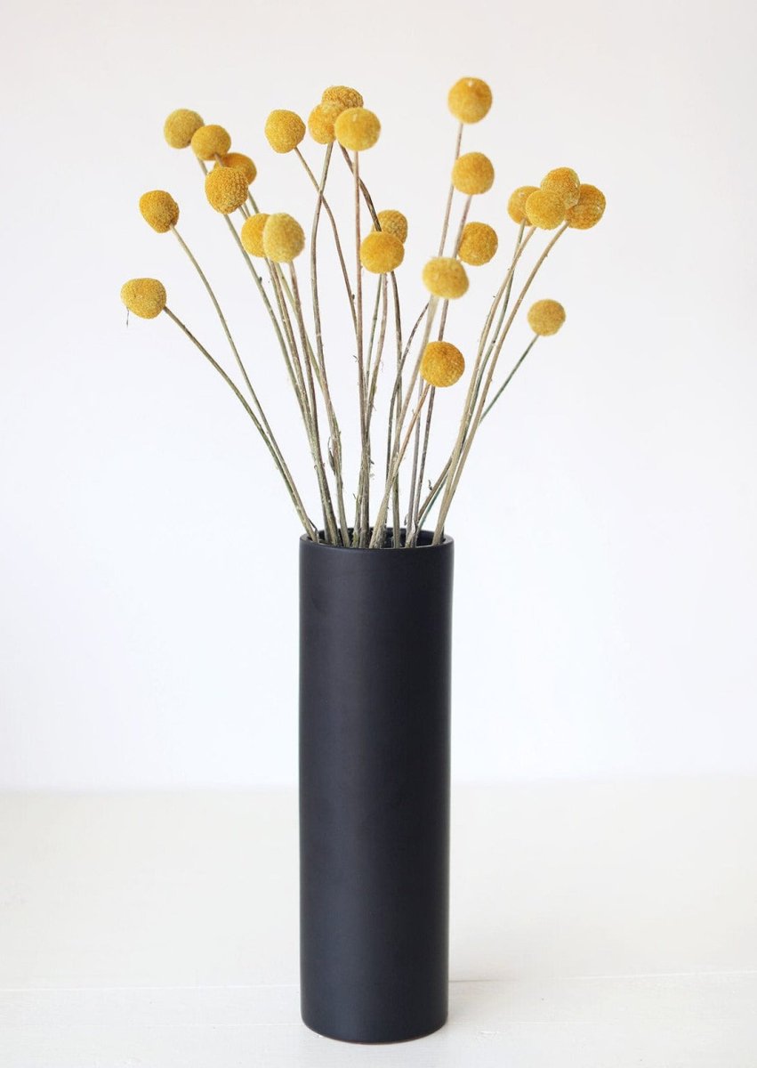 Afloral Dried Craspedia Billy Buttons, 18 - 26" - Bundle of 25 - lily & onyx