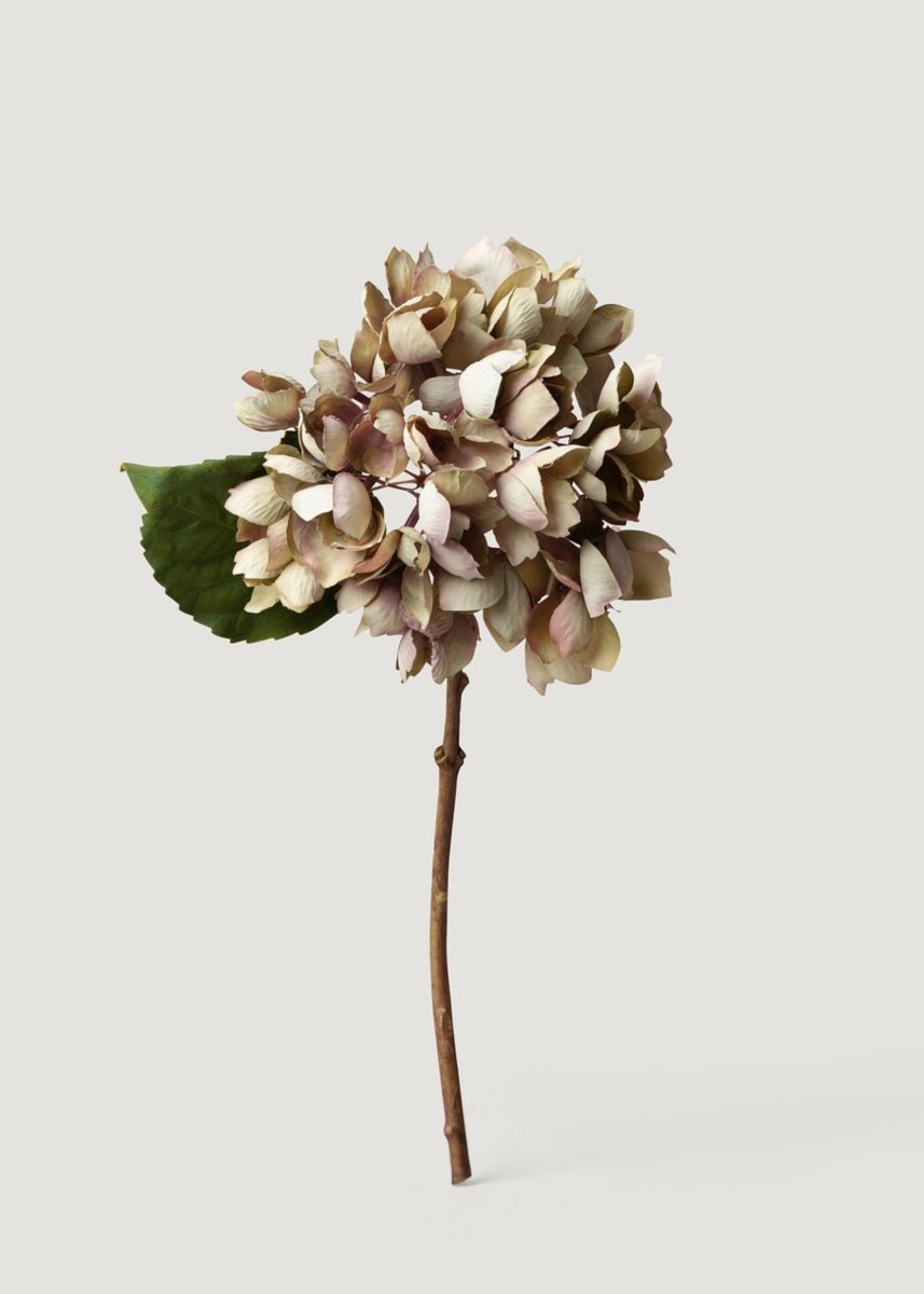 Afloral Dried Look Artificial Hydrangea in Vintage Taupe - 13.75" - lily & onyx