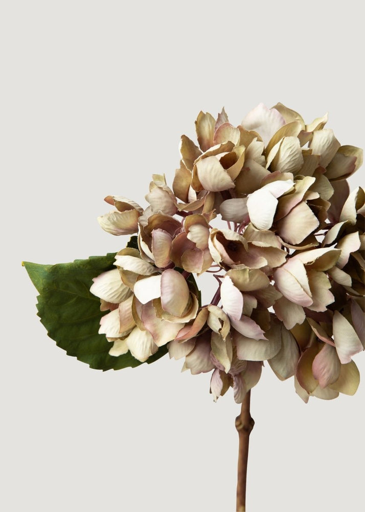 
                      
                        Afloral Dried Look Artificial Hydrangea in Vintage Taupe - 13.75" - lily & onyx
                      
                    