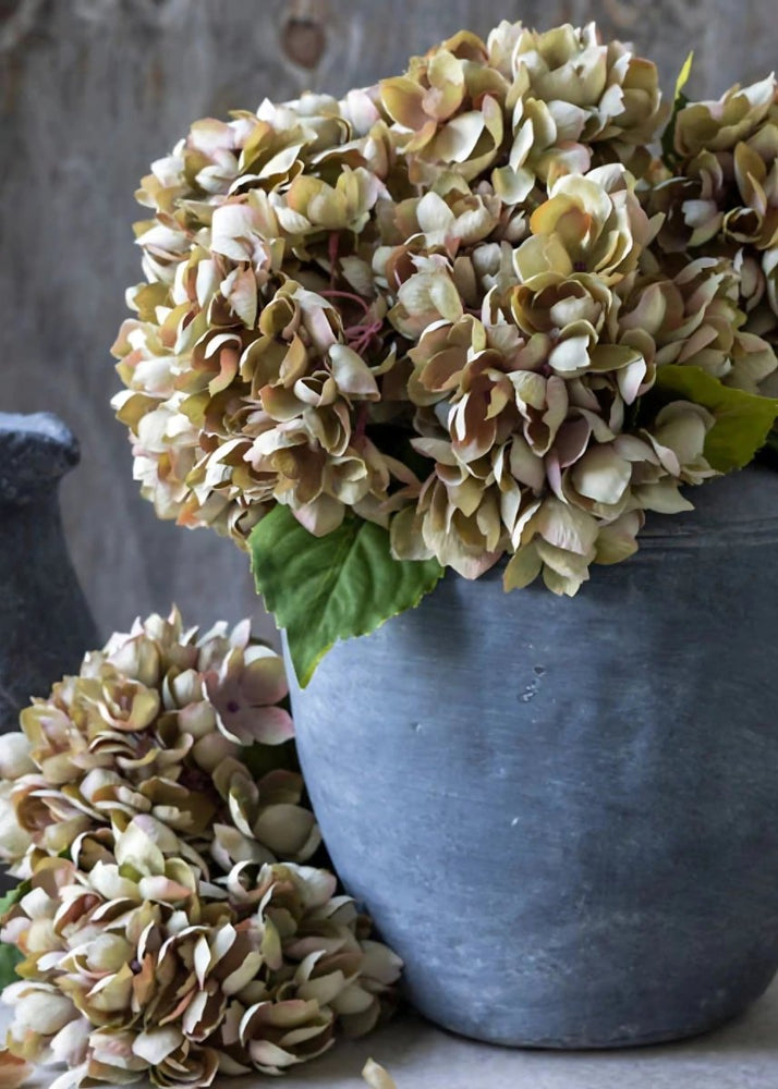 
                      
                        Afloral Dried Look Artificial Hydrangea in Vintage Taupe - 13.75" - lily & onyx
                      
                    