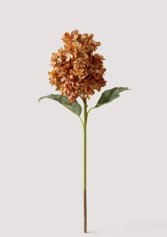 
                      
                        Afloral Dried Look Fake Cone Hydrangea Stem in Autumn - 23" - lily & onyx
                      
                    