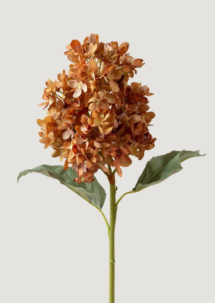 
                      
                        Afloral Dried Look Fake Cone Hydrangea Stem in Autumn - 23" - lily & onyx
                      
                    