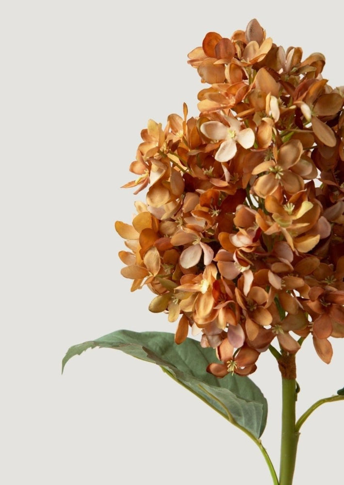 
                      
                        Afloral Dried Look Fake Cone Hydrangea Stem in Autumn - 23" - lily & onyx
                      
                    