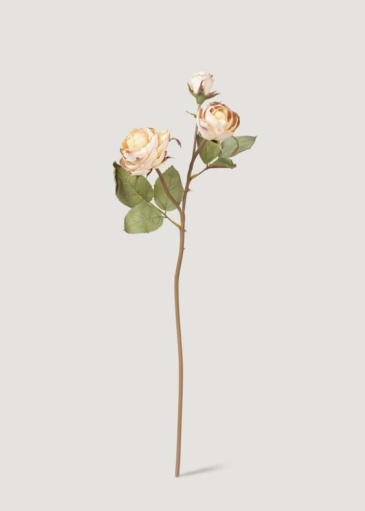 Afloral Dried Look Fake Roses in Beige - 21" - lily & onyx