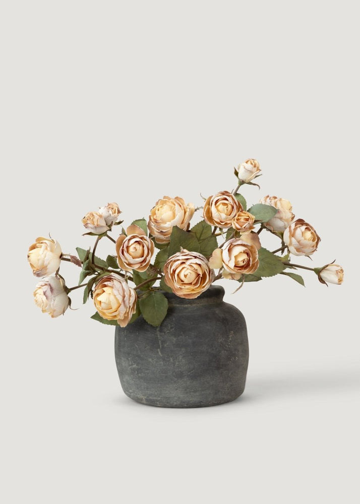 
                      
                        Afloral Dried Look Fake Roses in Beige - 21" - lily & onyx
                      
                    