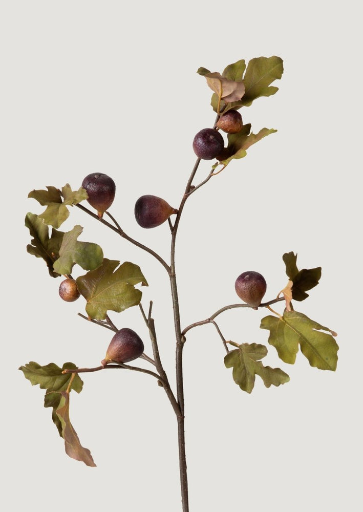 
                      
                        Afloral Dried Look Faux Fig Branch in Eggplant - 37" - lily & onyx
                      
                    