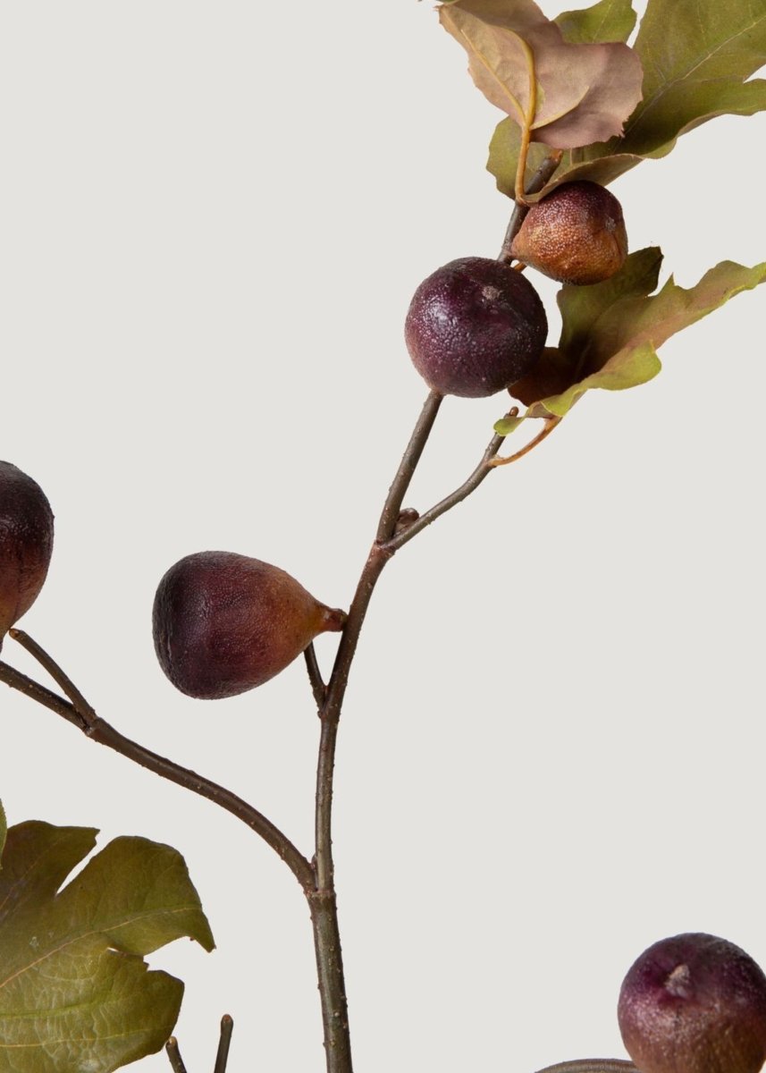 Afloral Dried Look Faux Fig Branch in Eggplant - 37" - lily & onyx