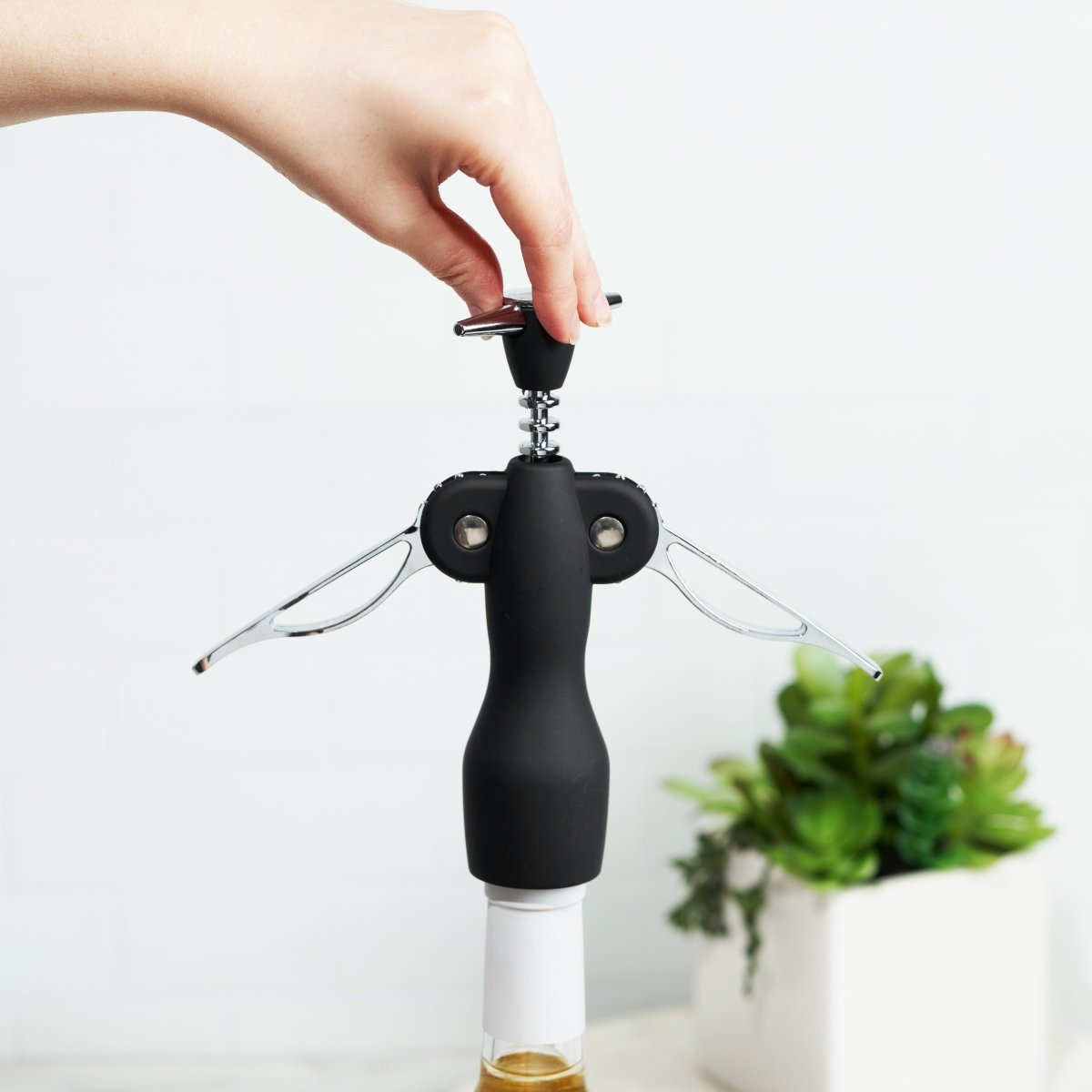 True Duke Winged Corkscrew, Black - lily & onyx