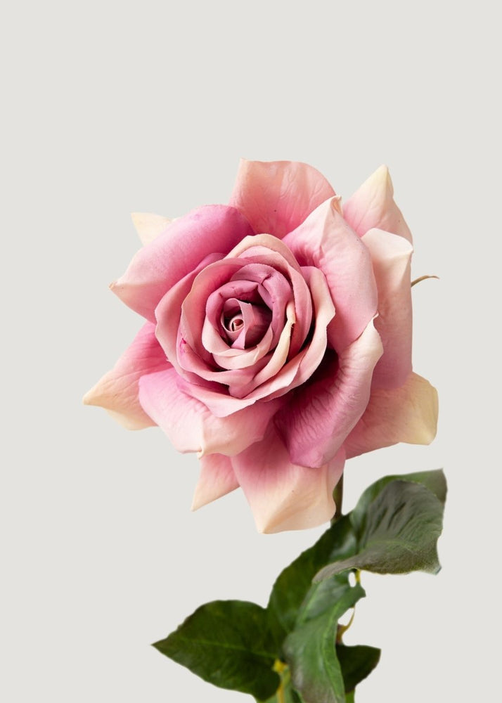 Afloral Dusty Lavender Real Touch Fake Duchess Rose - 20" - lily & onyx