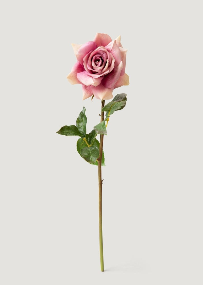 
                      
                        Afloral Dusty Lavender Real Touch Fake Duchess Rose - 20" - lily & onyx
                      
                    