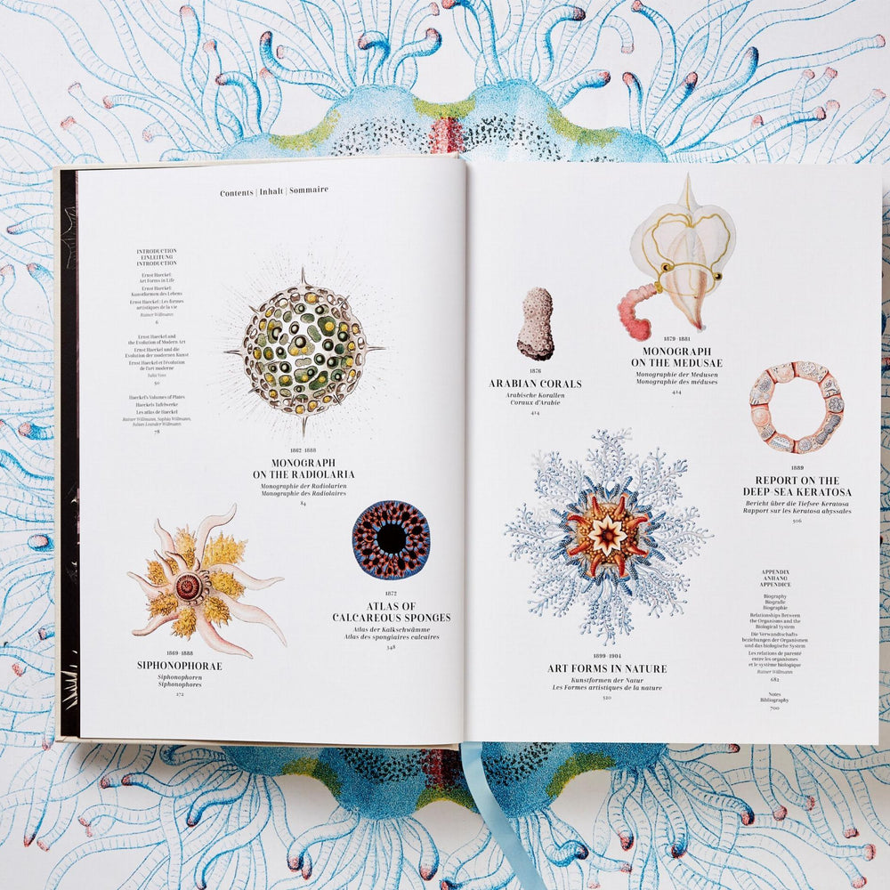 
                      
                        The Art and Science of Ernst Haeckel (German, French, English)
                      
                    