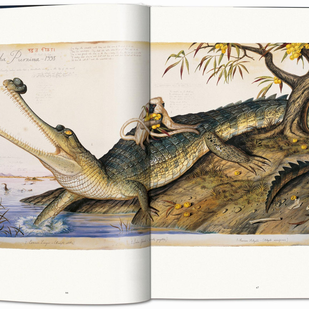 
                      
                        Walton Ford. Pancha Tantra. Updated Edition (German, French, English)
                      
                    