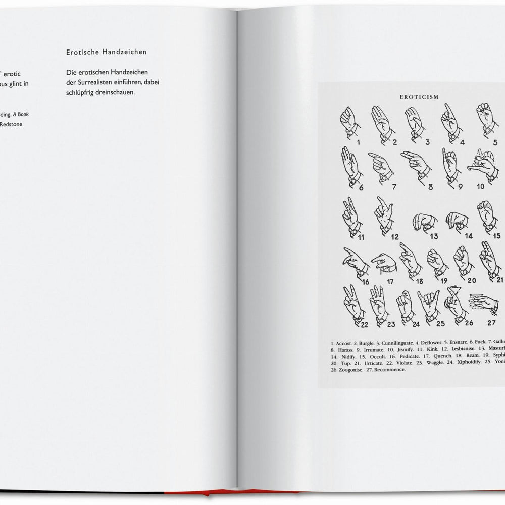 Carsten Höller. Book of Games (German, French, English)