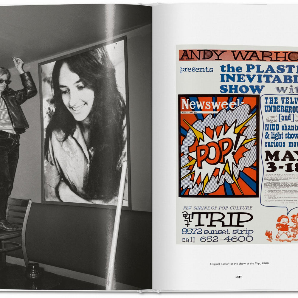 
                      
                        Steve Schapiro. Andy Warhol and Friends (English)
                      
                    