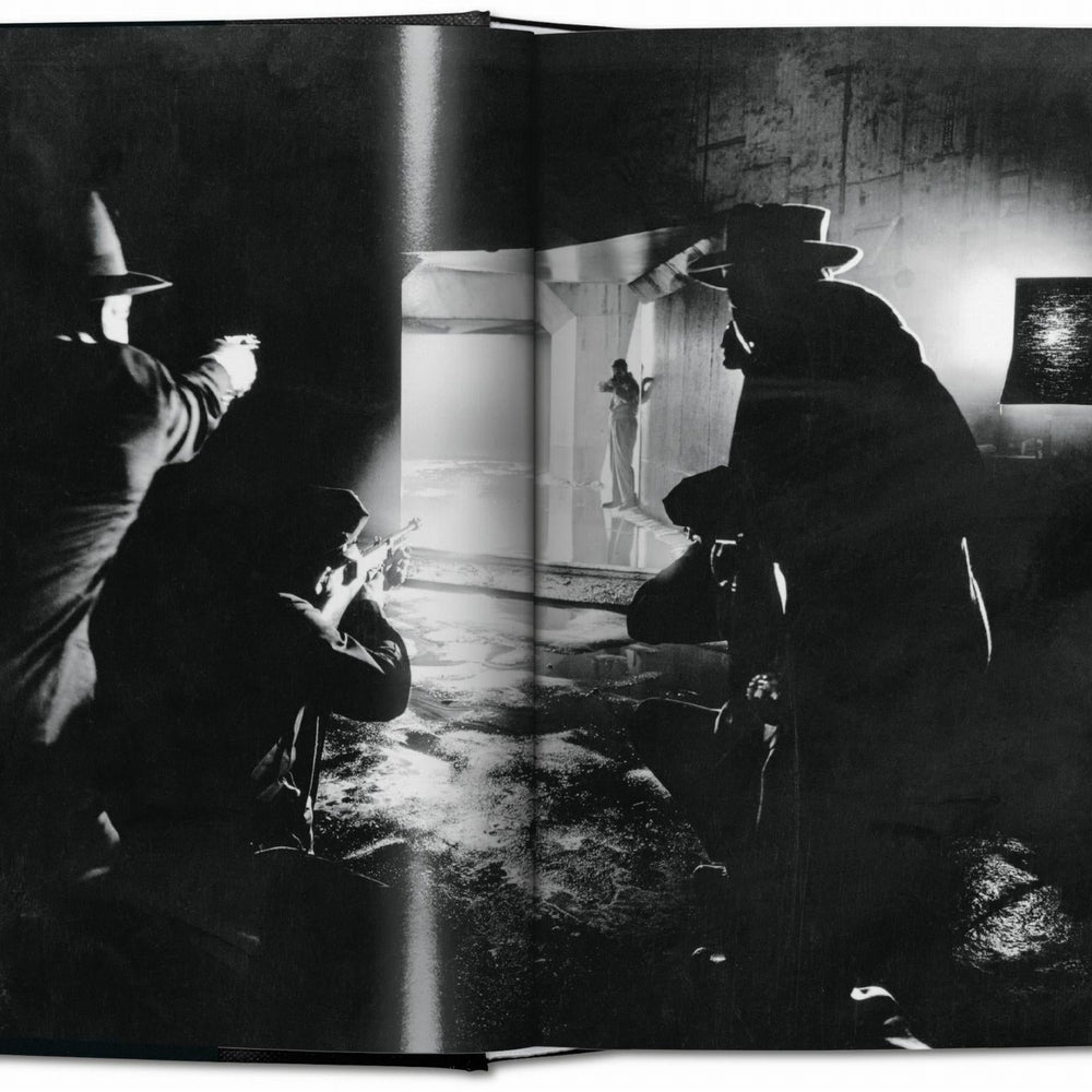 
                      
                        Film Noir (English)
                      
                    