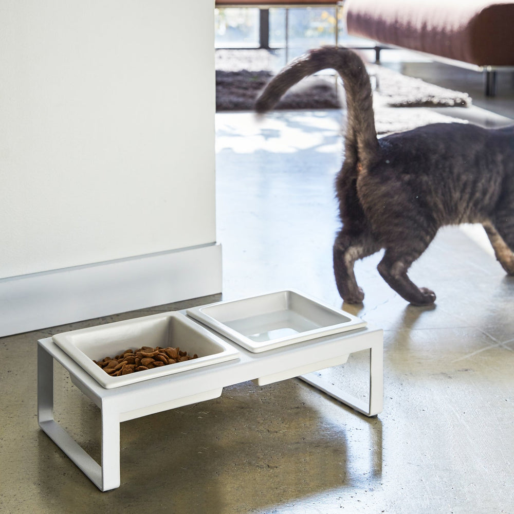 
                      
                        Pet Food Bowl
                      
                    