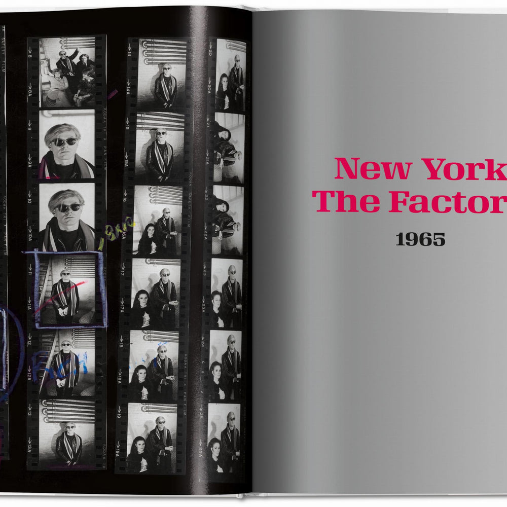 
                      
                        Steve Schapiro. Andy Warhol and Friends (English)
                      
                    