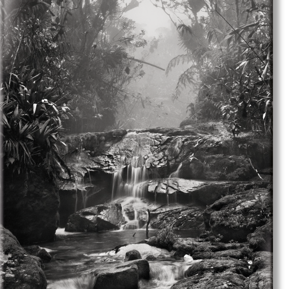Salgado. Amazônia. Magnet ‘Creek’