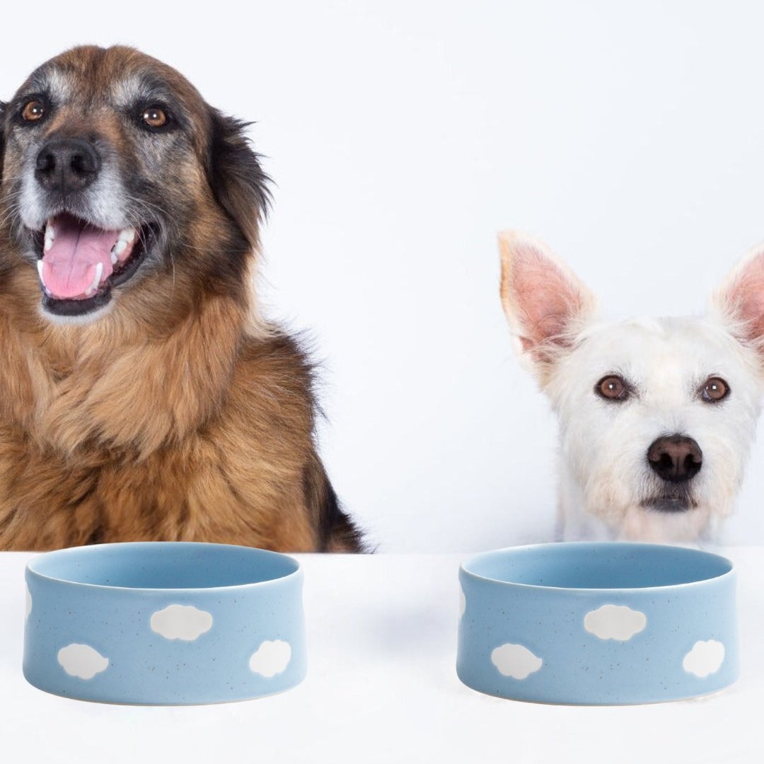Egg Back Home Cloud Ceramic Pet Bowl, Large - Set of 2