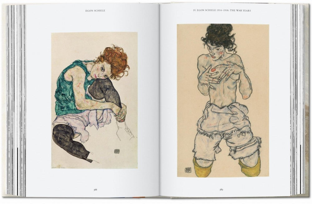 
                      
                        TASCHEN Egon Schiele. Las pinturas. 40th Ed. (Spanish)
                      
                    