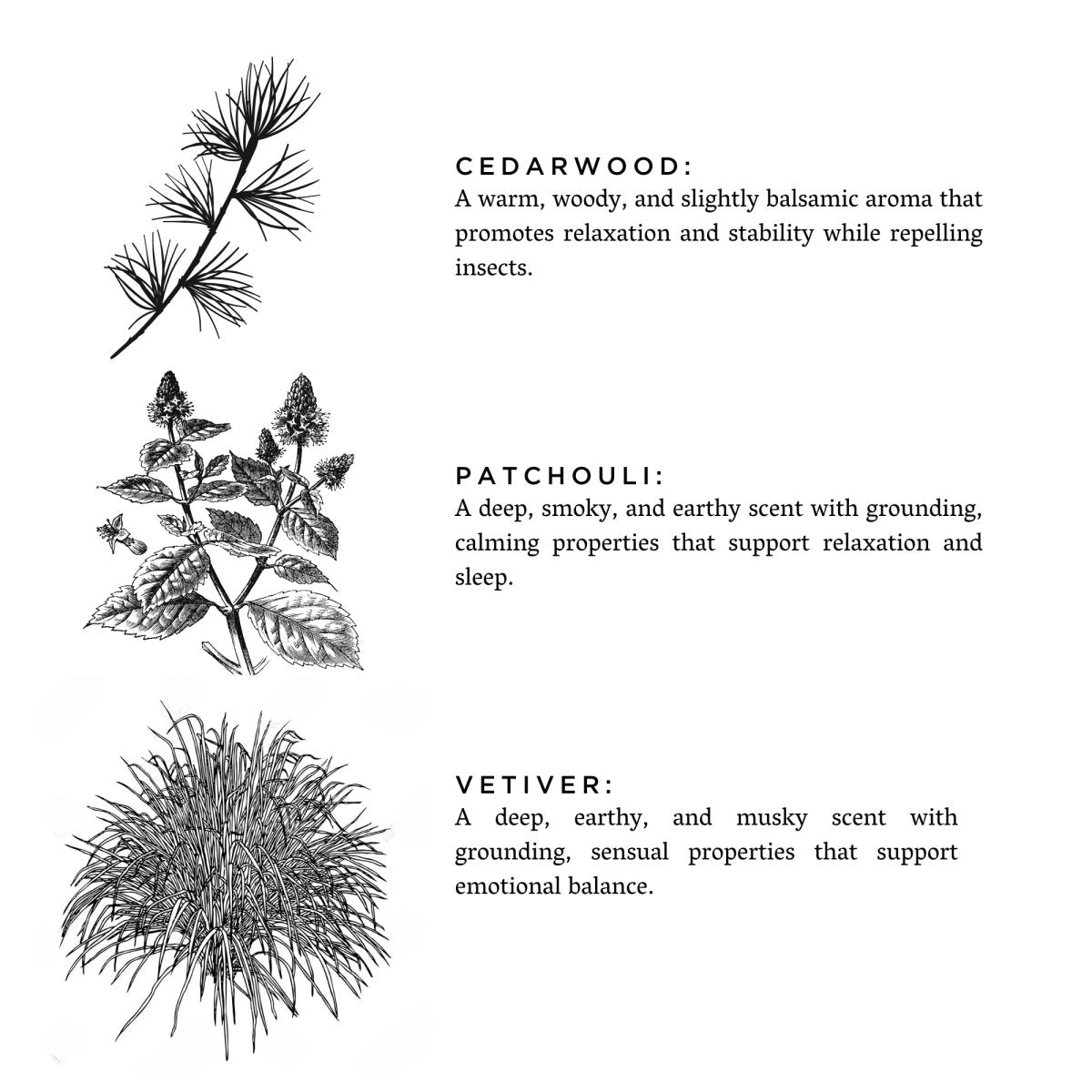 Slow North Embers + Leather | Vetiver + Cedar + Patchouli | Frosted Candle, 8 oz - lily & onyx