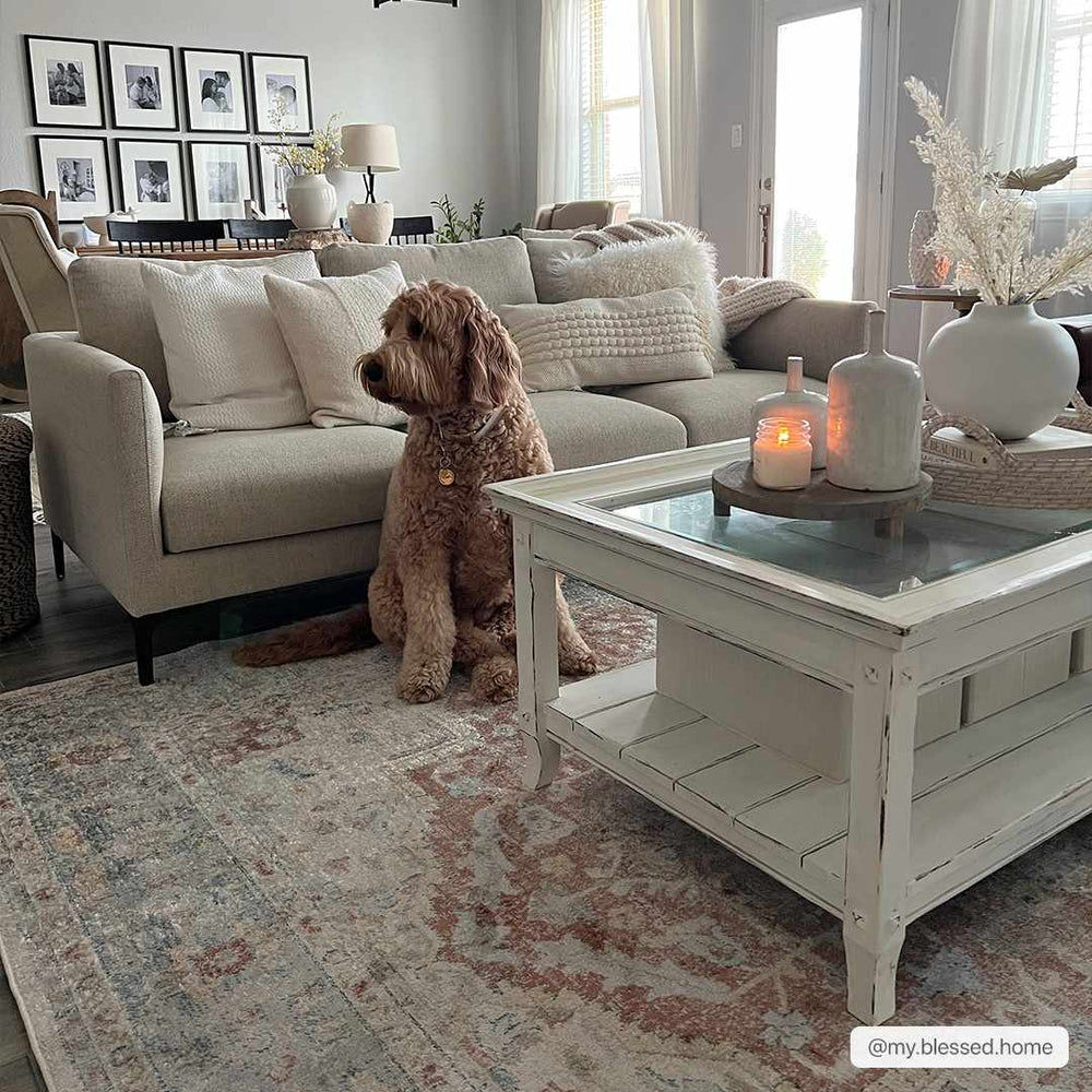 Hauteloom Emke Cream Washable Area Rug - lily & onyx