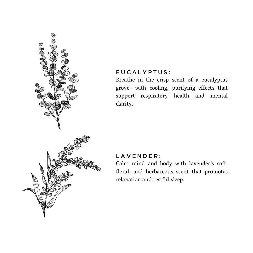 
                      
                        Slow North Eucalyptus + Lavender Frosted Candle, 8 oz - lily & onyx
                      
                    